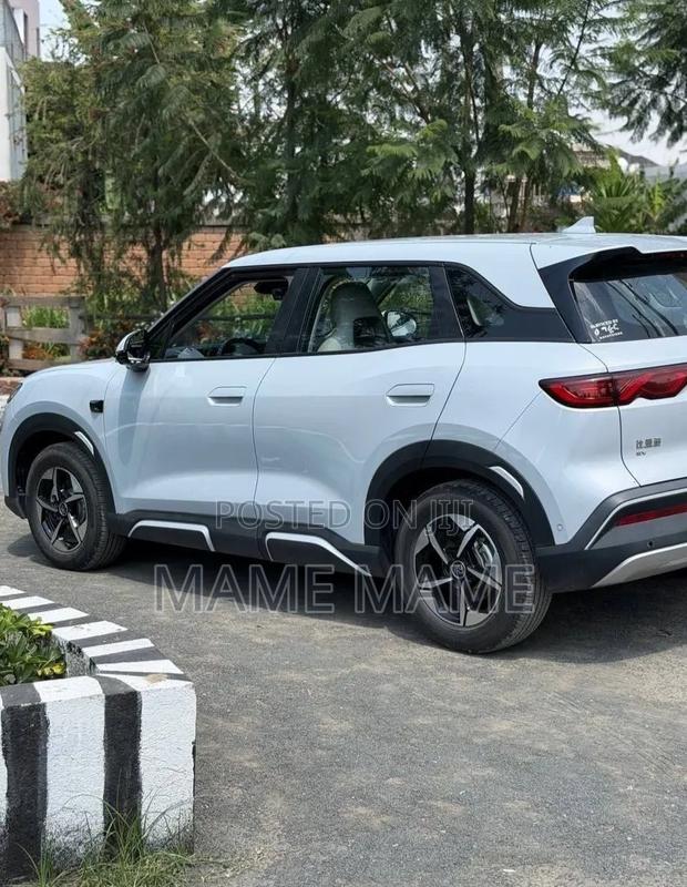 New BYD Yuan Up 2024 Silver