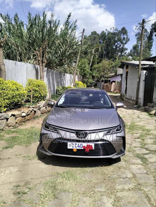 Toyota Corolla 2022 Gray