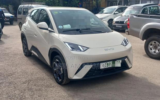 BYD Seagull 2025 White