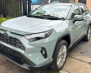New Toyota RAV4 Hybrid 2025 Green for sale