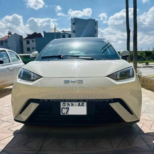 BYD Seagull 2025 White
