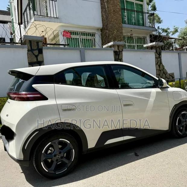 BYD Seagull 2024 White
