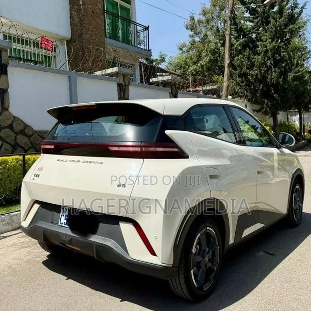 BYD Seagull 2024 White