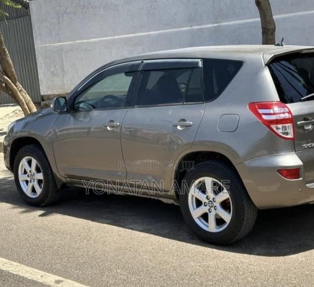 Toyota RAV4 2010 Brown