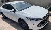 New BYD Qin Plus DM-i 2025 White for sale