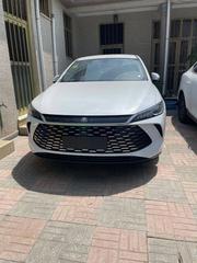 New BYD Qin Plus DM-i 2025 White for sale