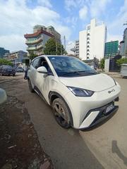 BYD Seagull 2024 for sale