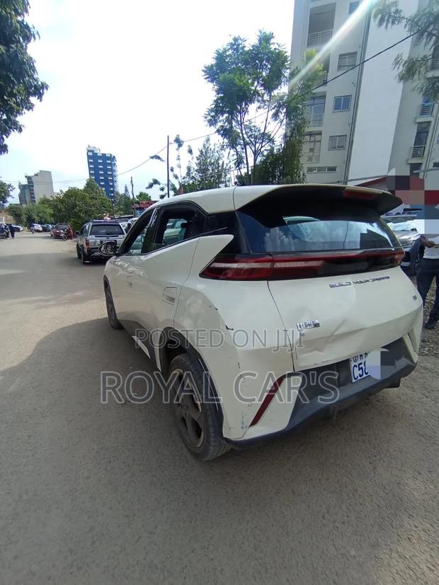 BYD Seagull 2024