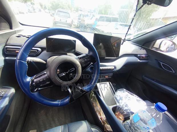 BYD Seagull 2024