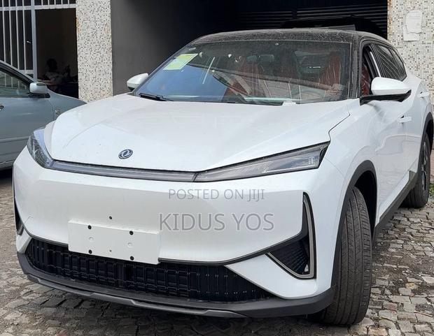 New Dongfeng EV EX1 2025 White
