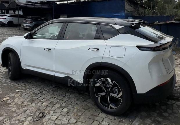New Dongfeng EV EX1 2025 White
