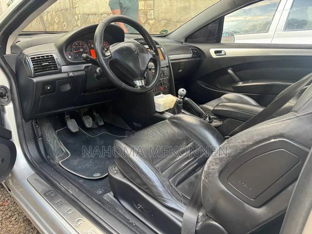 Peugeot 405 2007 Silver