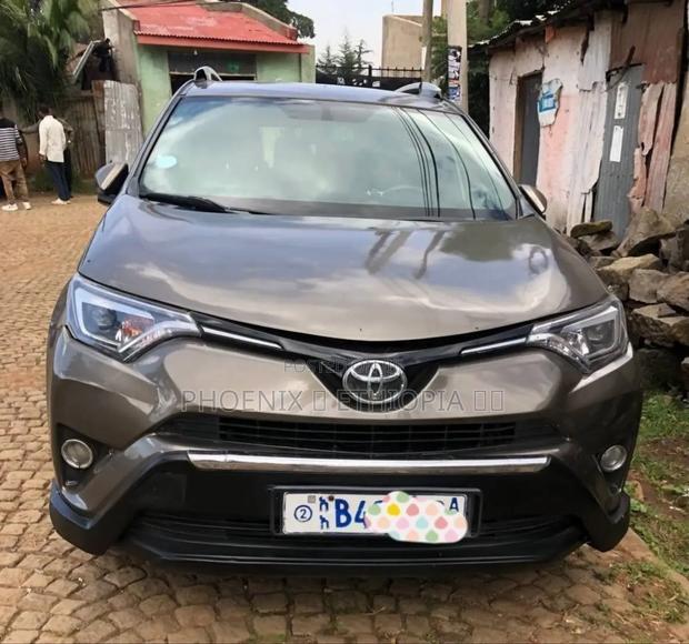 Toyota RAV4 2015 Brown