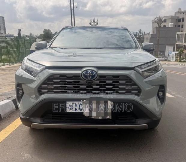 Toyota RAV4 2023 Gray