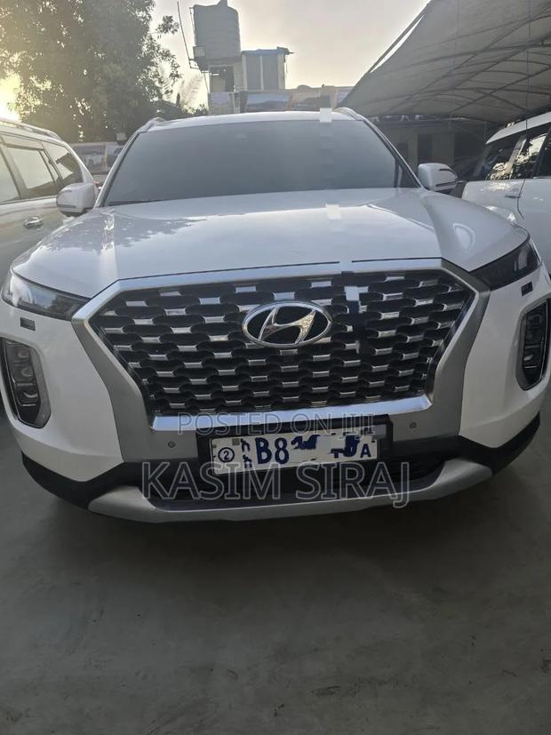 Hyundai Palisade 2021 White