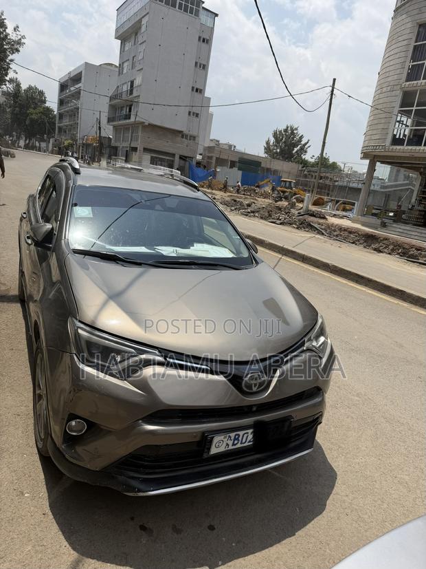 Toyota RAV4 LE AWD (2.5L 4cyl 6A) 2016 Gray