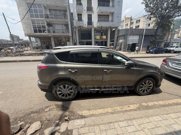 Toyota RAV4 LE AWD (2.5L 4cyl 6A) 2016 Gray