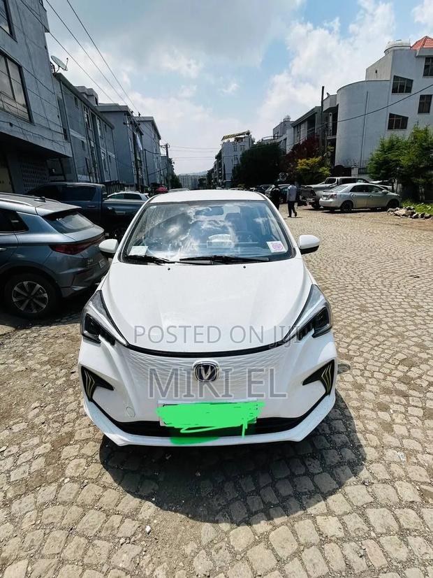 Changan BenBen 2023 White