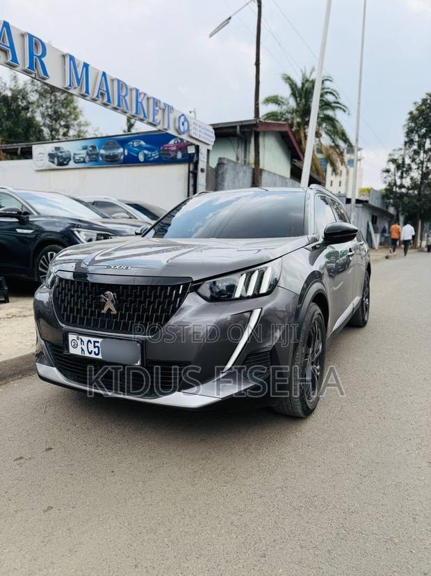 Peugeot 2008 2022 Gray