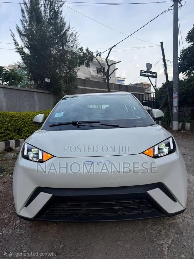 New BYD Seagull 2024 White