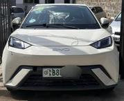 BYD Seagull 2024 White for sale