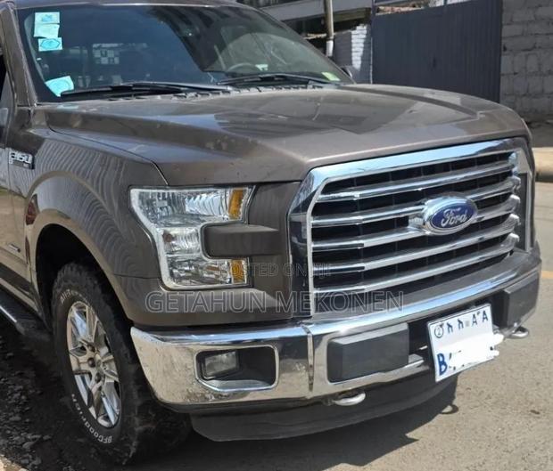 Ford F-150 2016 Brown