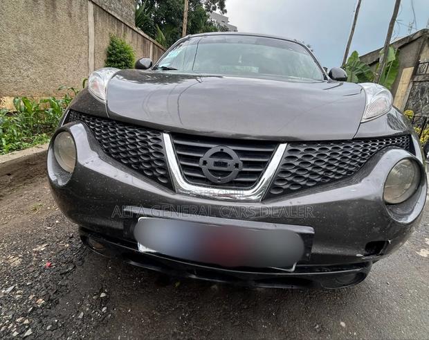 Nissan Juke 2012 Brown