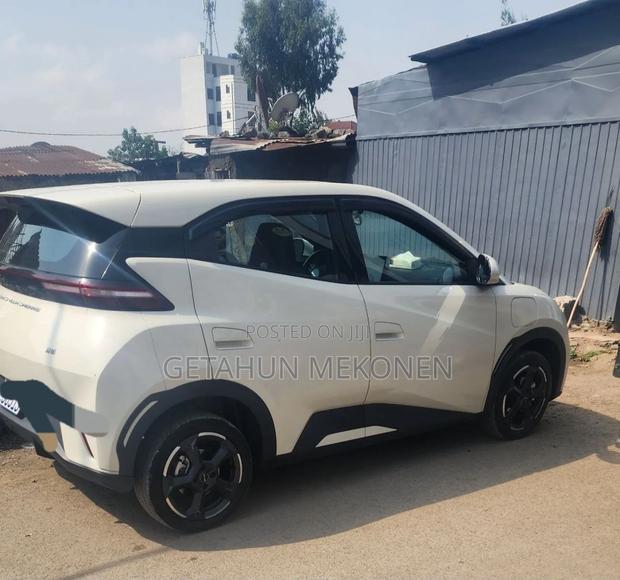 BYD Seagull 2024