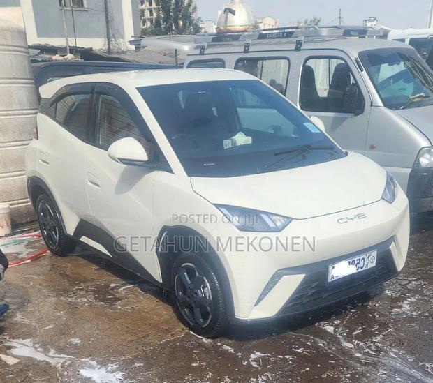 BYD Seagull 2024