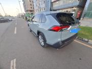 Toyota RAV4 2019 Gray for sale