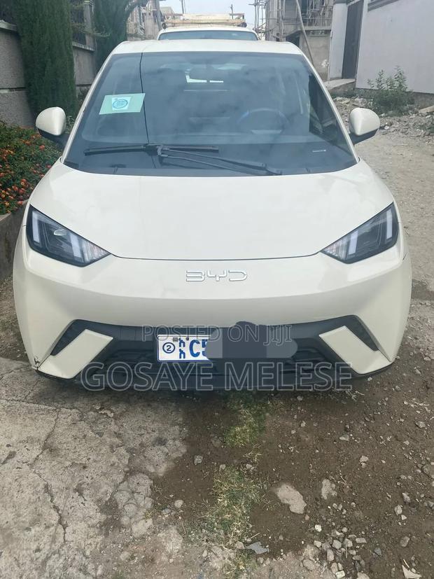 BYD Seagull 2024 White