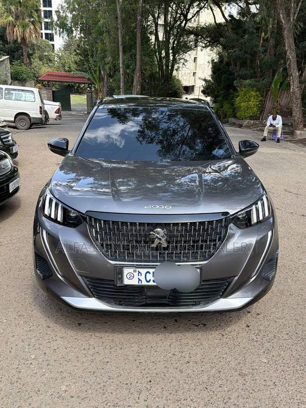 Peugeot 2008 2023 Gray