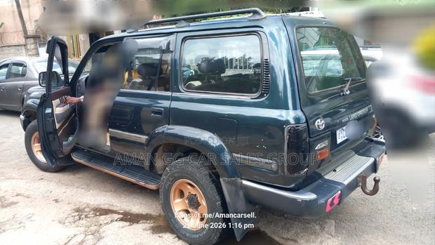 Toyota Land Cruiser 1993 Gray