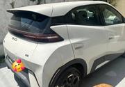 BYD Seagull 2025 White for sale