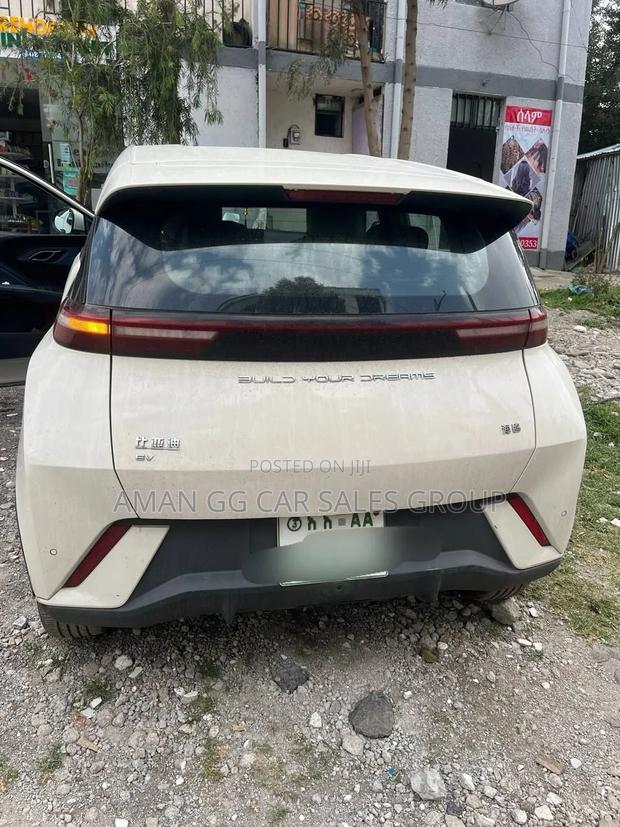 BYD Seagull 2024 Pearl