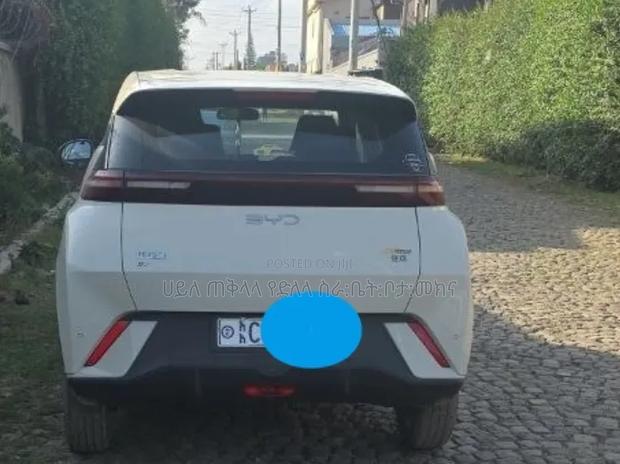 BYD Seagull 2025 White