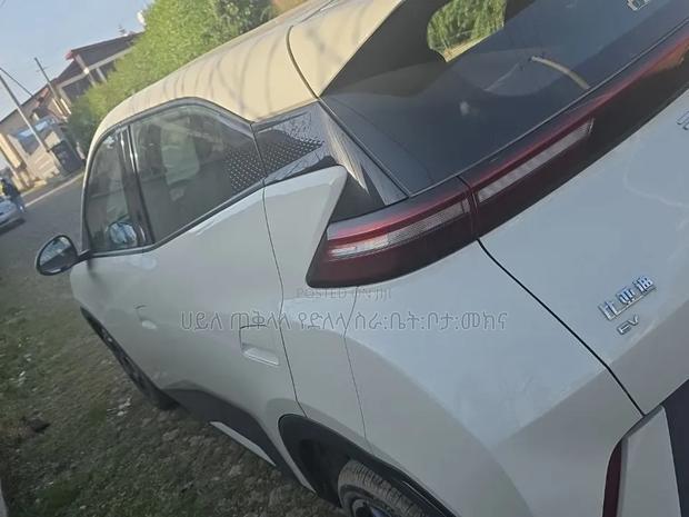 BYD Seagull 2025 White