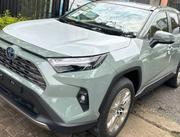 Toyota RAV4 Hybrid 2024 Green for sale