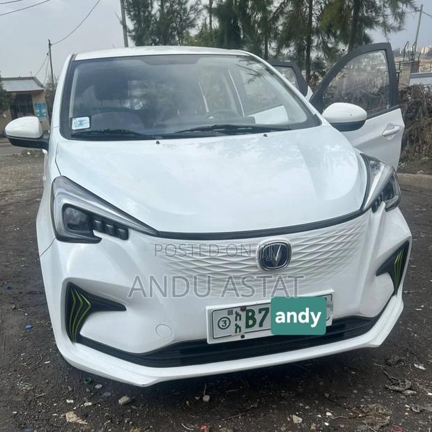 Changan BenBen E-Star 2023 White