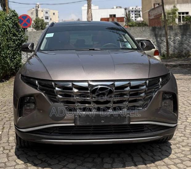 Hyundai Tucson 2022 Brown