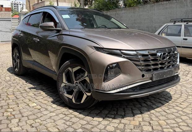 Hyundai Tucson 2022 Brown