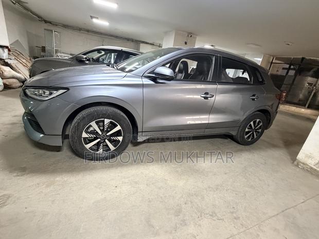 BYD E2 43 kWh 94 hp FWD 2024 Gray