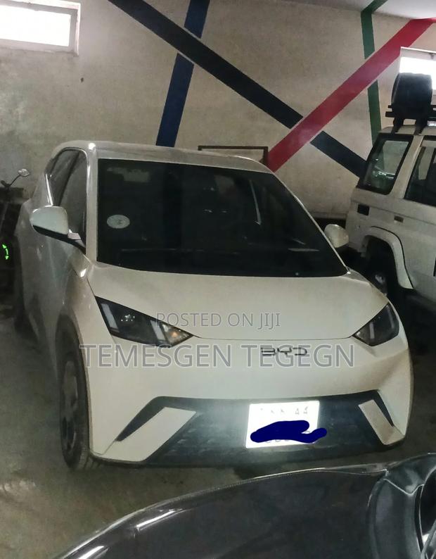 BYD Seagull 2025 White