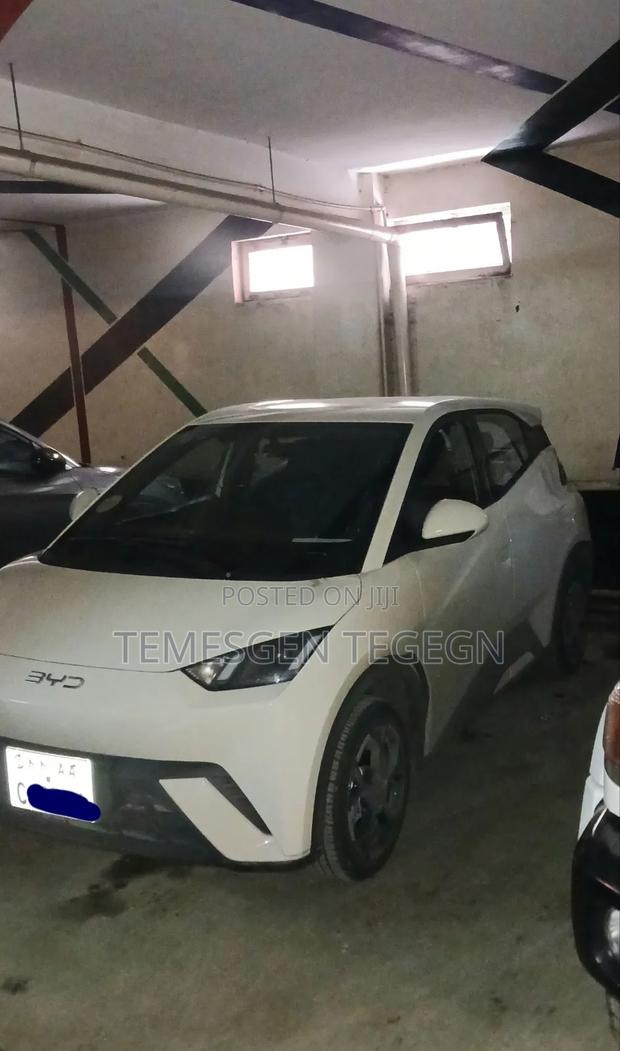 BYD Seagull 2025 White