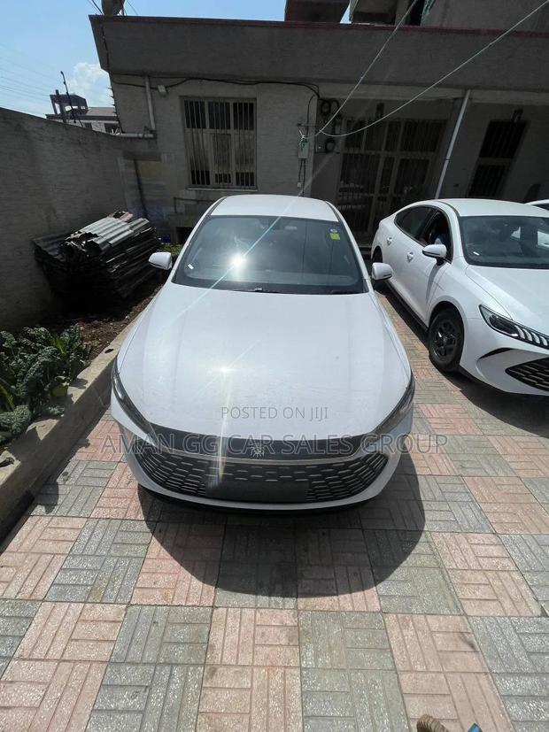 BYD Qin Plus DM-i 2025 White