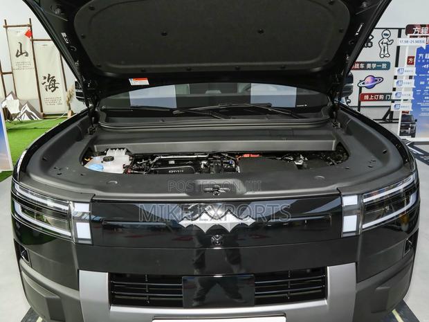 New BYD Leopard 7 2025 Black