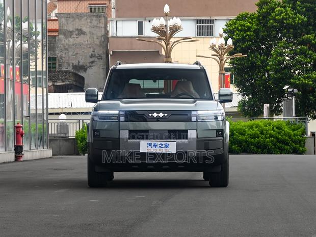 New BYD Leopard 7 2025 Gray