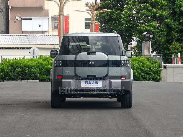 New BYD Leopard 7 2025 Gray