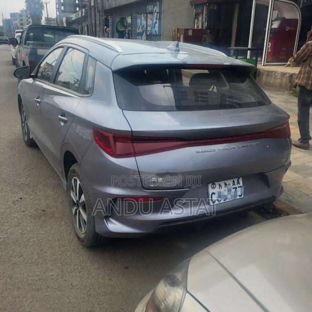 BYD E2 43 kWh 94 hp FWD 2024 Gray