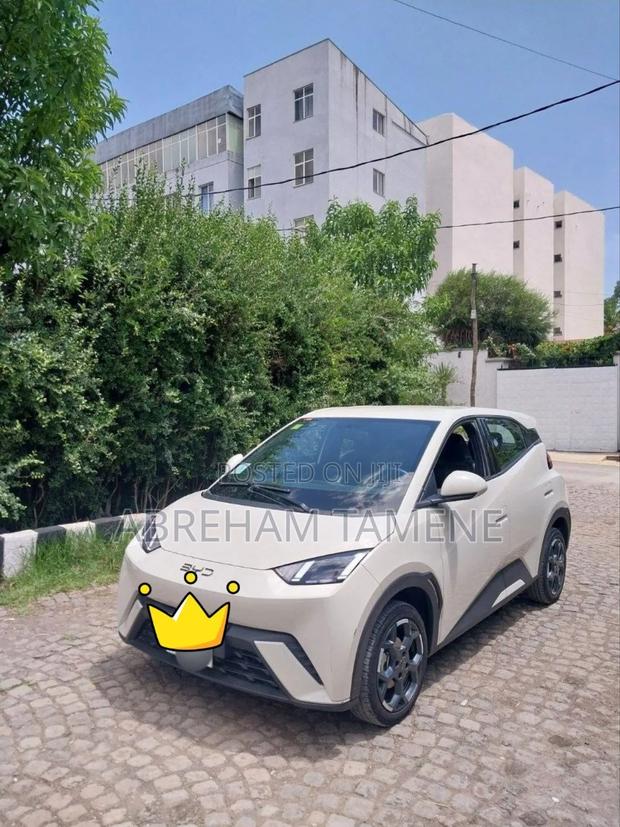 BYD Seagull 38 kWh FWD 2024 Off white